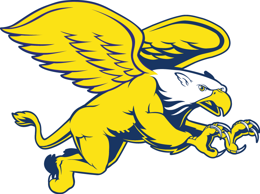 Canisius Golden Griffins 1999-2005 Secondary Logo v2 diy DTF decal sticker